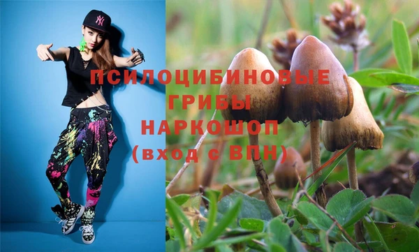 шишки Алзамай