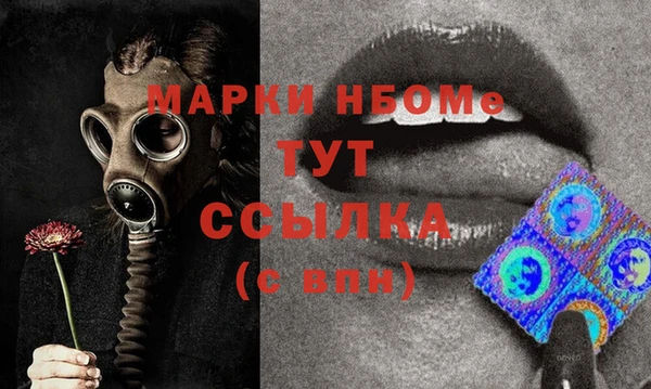 шишки Алзамай
