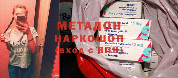 прущие грибы Гусев
