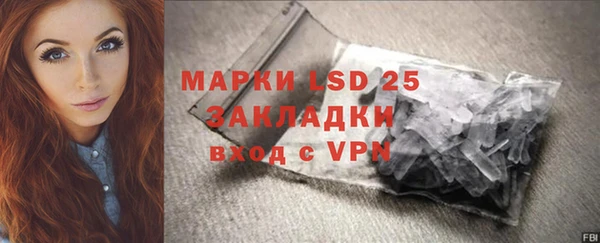 шишки Алзамай