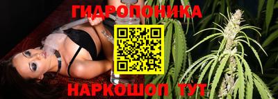 кокс Аргун