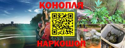 кокс Аргун