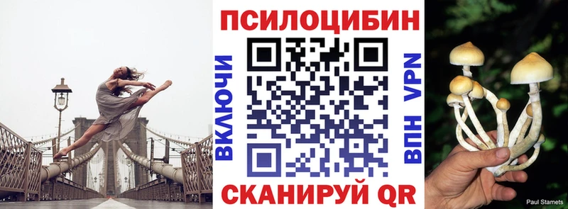 Псилоцибиновые грибы мицелий  продажа наркотиков  Бахчисарай 